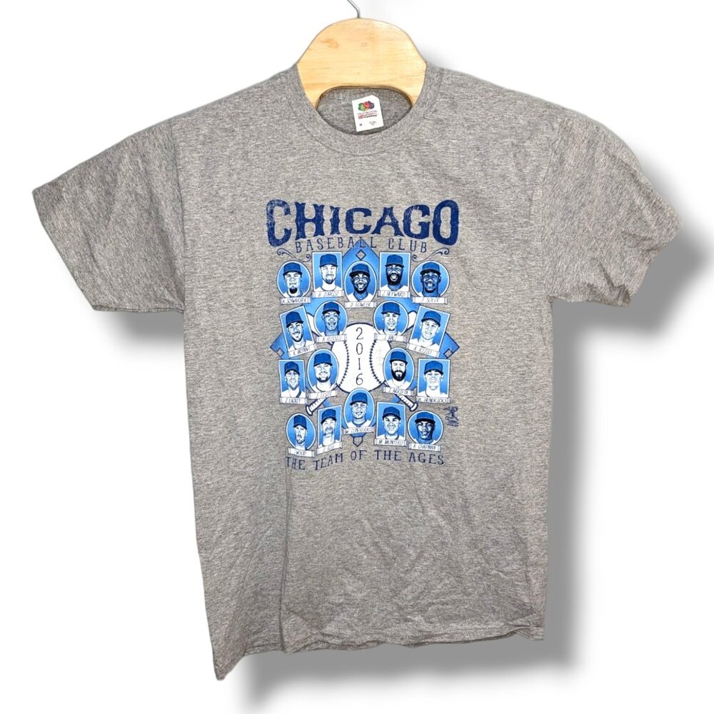 NWT Chicago Cubs World Champ 2016 Heather Gray T-Shirt MLB Size Medium